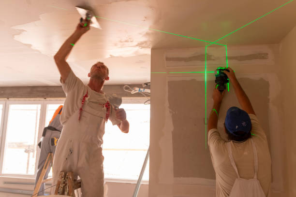 Best Drywall Sanding and Smoothing  in Seminole, FL