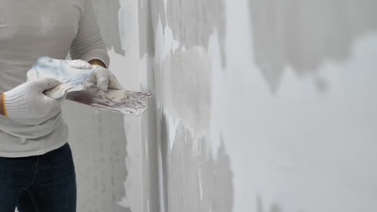 Best Fire-Damaged Drywall Repair  in Seminole, FL